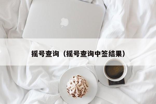 摇号查询（摇号查询中签结果）