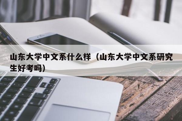 山东大学中文系什么样（山东大学中文系研究生好考吗）
